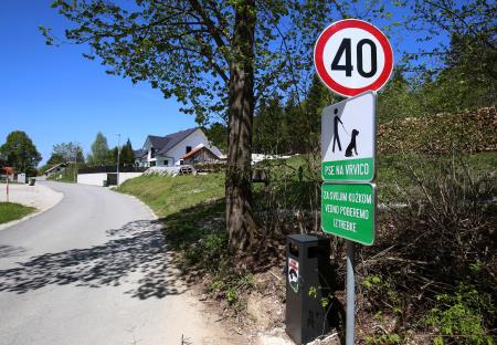 kOŠ CERKNICA PEŠČENK 04 FOTO LJUBO VUKELIČ